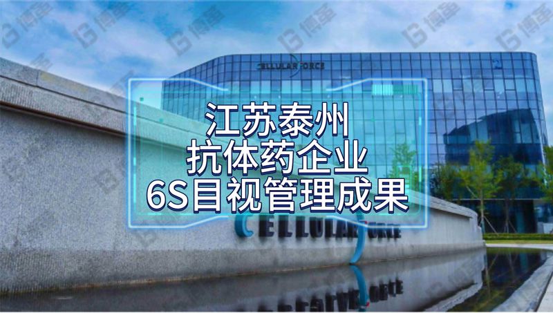 回訪江蘇泰州抗體藥企業6S目視管理成果