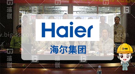 海爾集團旗下企業精益咨詢項目案例